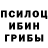 Галлюциногенные грибы Psilocybine cubensis MacSims Play