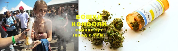 трава Ельня