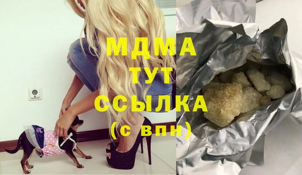 стаф Алексин