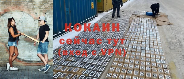 стаф Алексин
