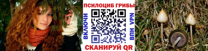 Галлюциногенные грибы Magic Shrooms  нарко площадка официальный сайт  Белоярский 